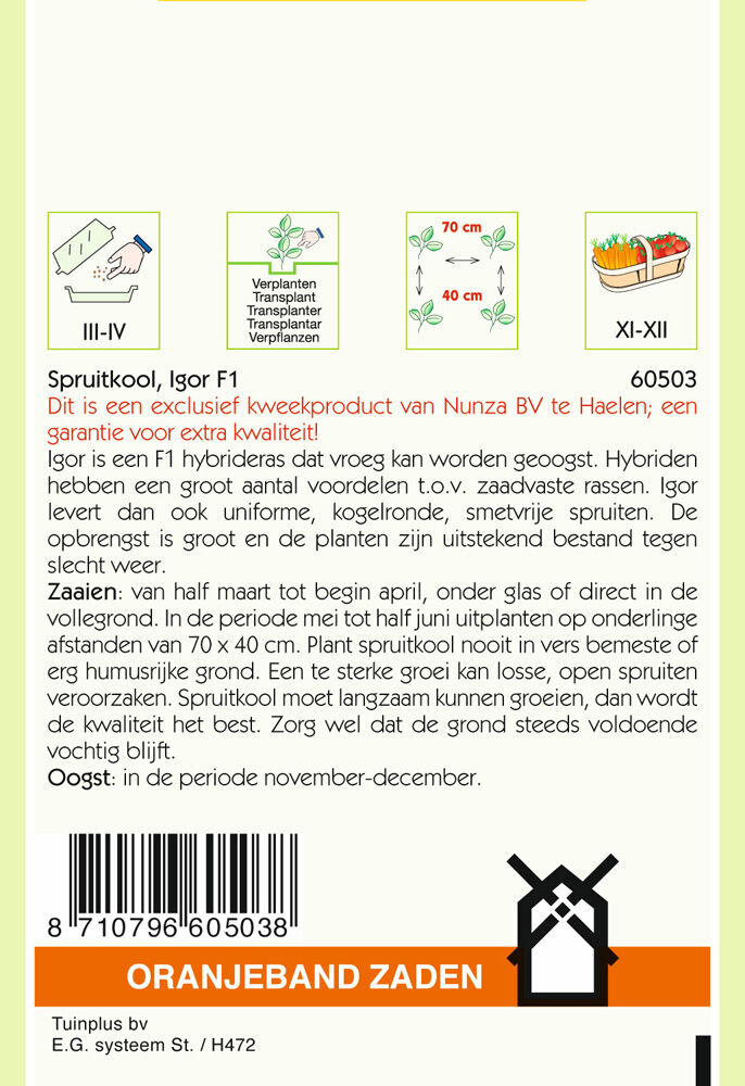 Oranjeband zaden Spruitkool Igor F1 - Groentezaden