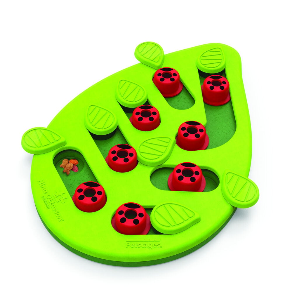 Nina Ottosson Buggin' Out Puzzle & Play - Kattenspel Nina Ottosson Buggin' Out Puzzle & Play - Kattenspel