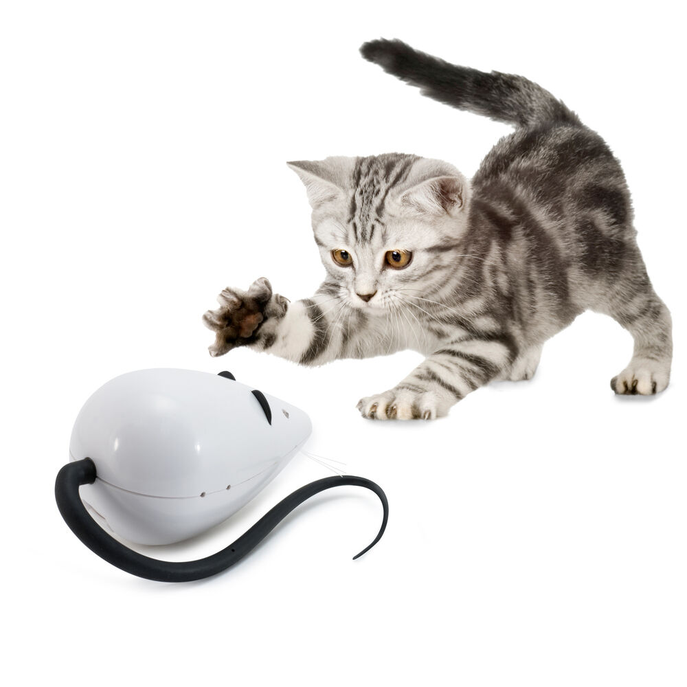 Petsafe Rolorat - Kattenspeeltje