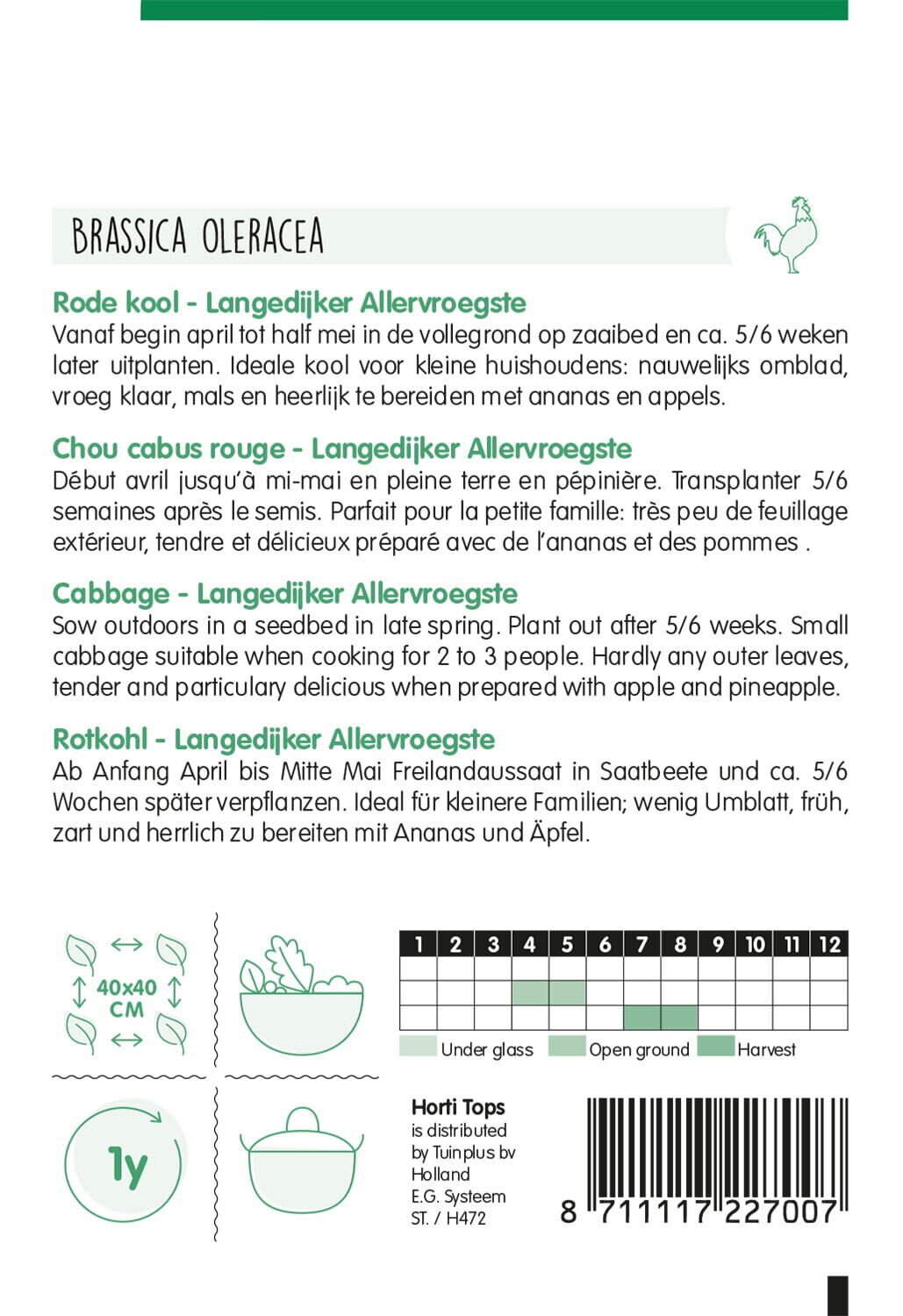 Hortitops Rode kool Brassica oleracea Langedijker Vroege (Zomer) - Groentezaden
