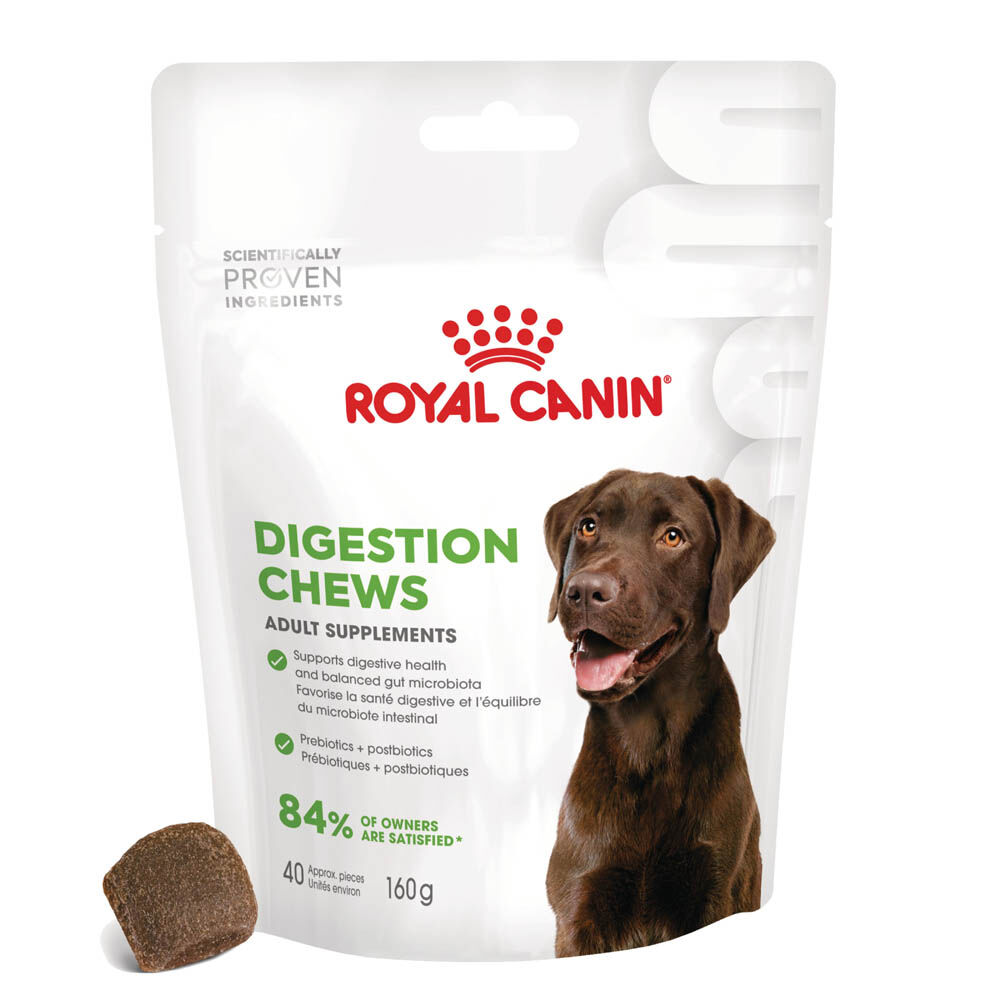 Royal Canin Adult Supplement Digestion Chews - Hondensnacks