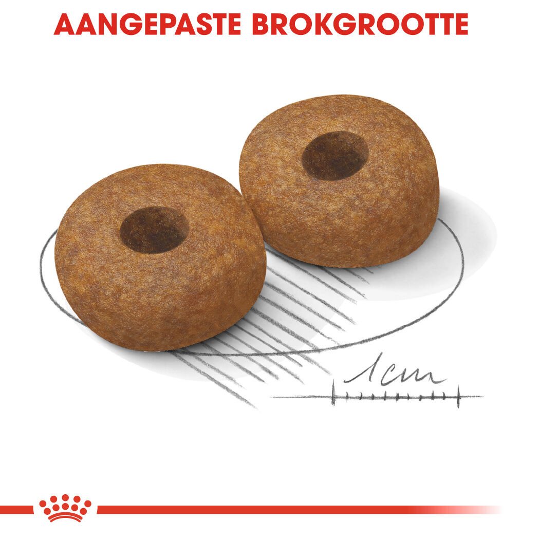 Royal Canin Medium Ageing 10+ - Hondenvoer - 3 Kilogram - gevogelte