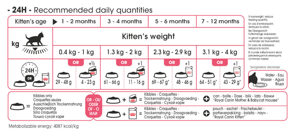 Royal Canin Kitten - Kattenvoer - 0.4 Kilogram - Gevogelte
