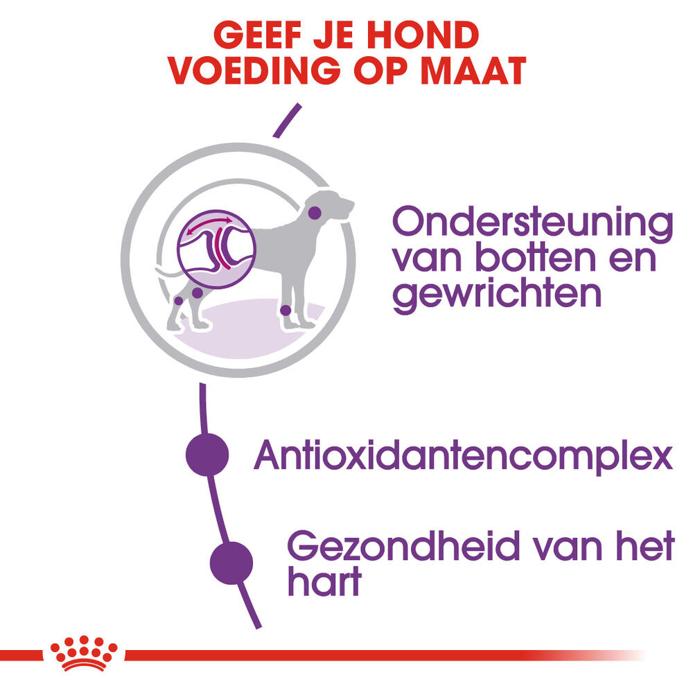 Royal Canin SHN Giant Adult - Hondenvoer - 15 Kilogram - gevogelte