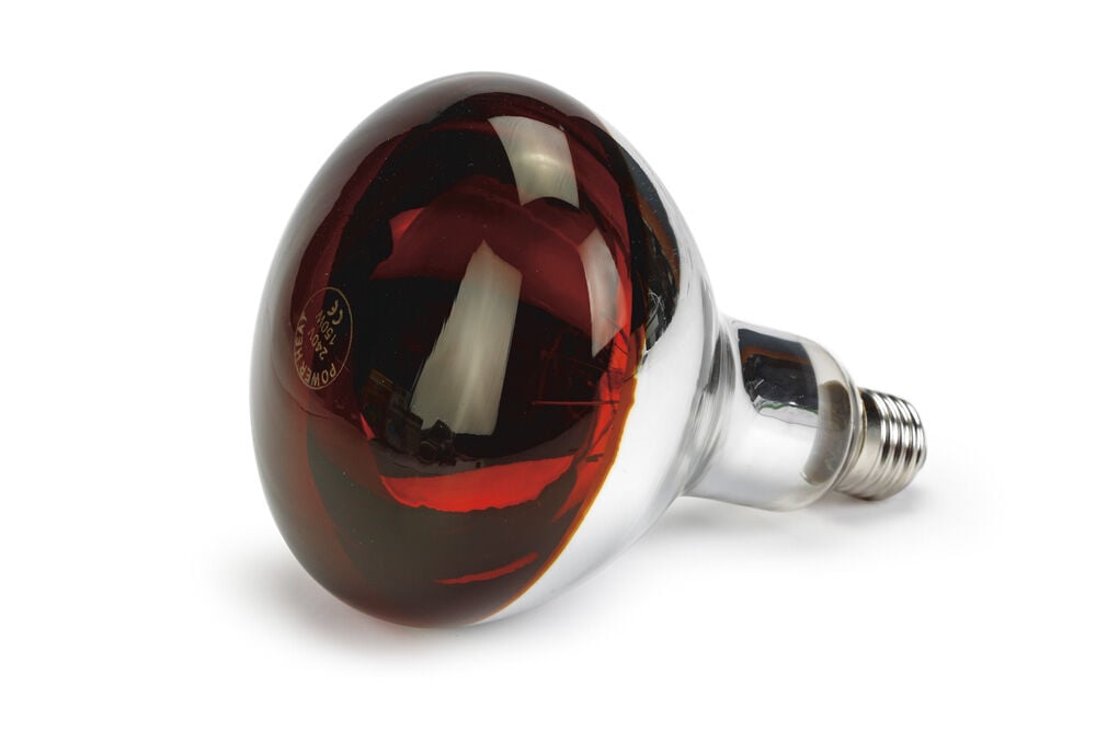 Olba Infrarood Warmtelamp - 18x12x12 cm Olba Infrarood Warmtelamp - 18x12x12 cm