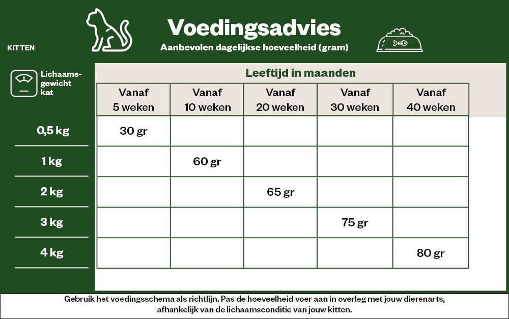 Iams Kitten & Junior - Kattenvoer - 3 Kilogram - kip