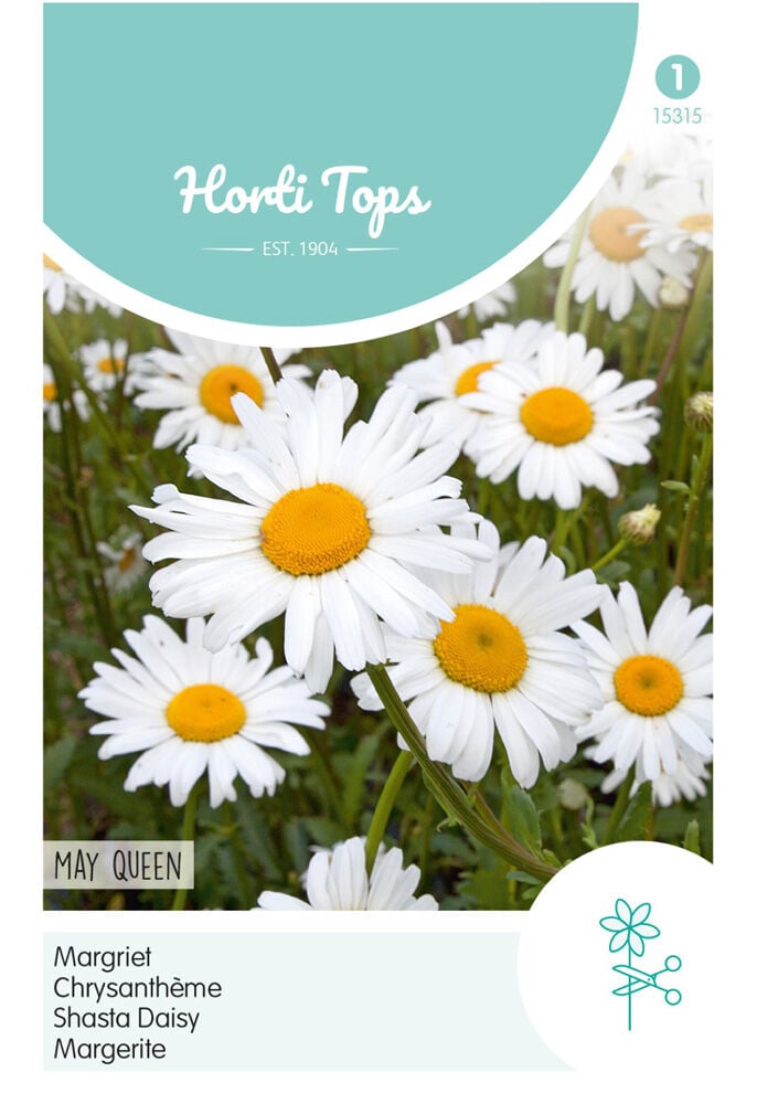 Hortitops Margriet May Queen - Bloemzaden Hortitops Margriet May Queen - Bloemzaden