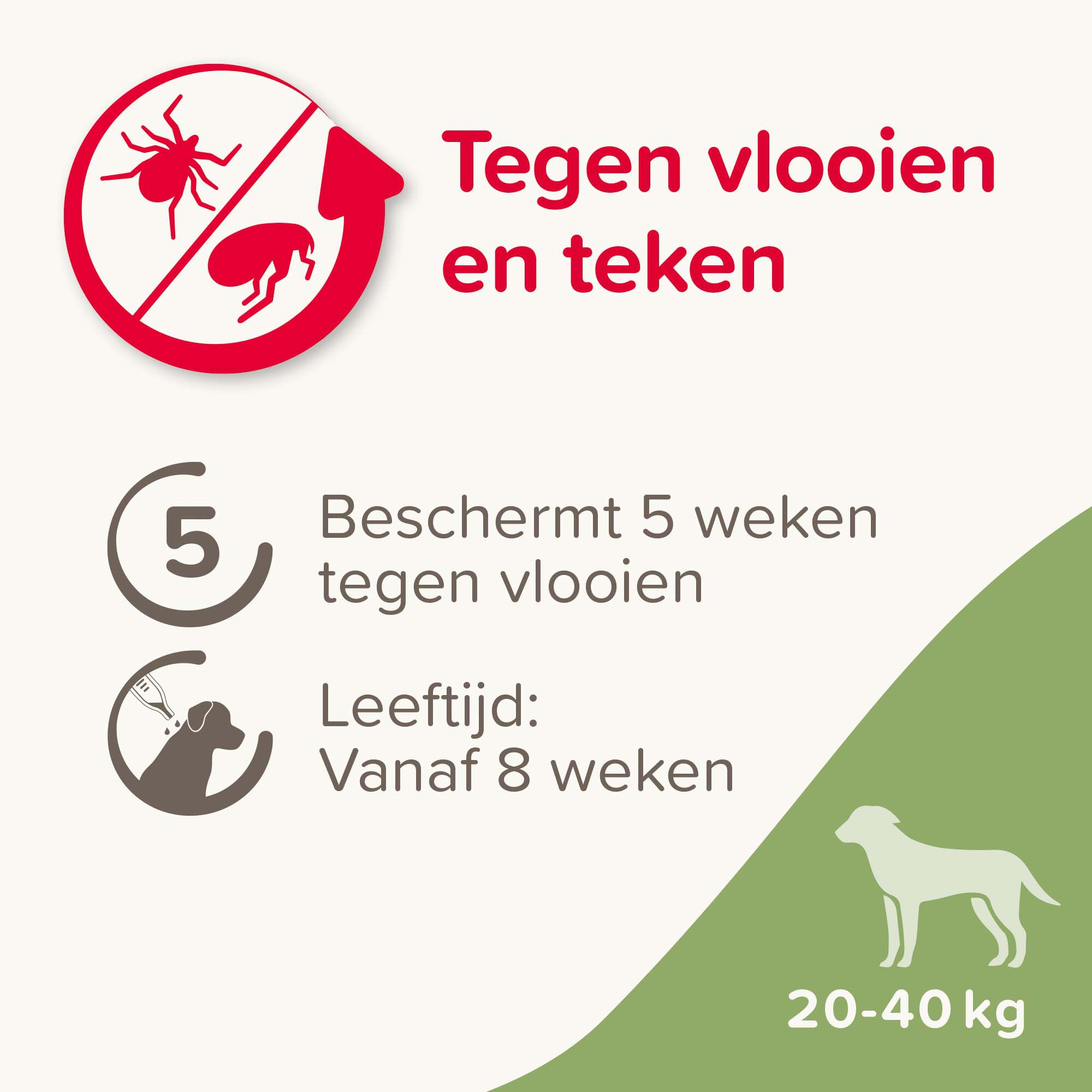 Beaphar Fiprotec Pipet - Anti Vlooien en teken - Hond - 4 Stuks - L