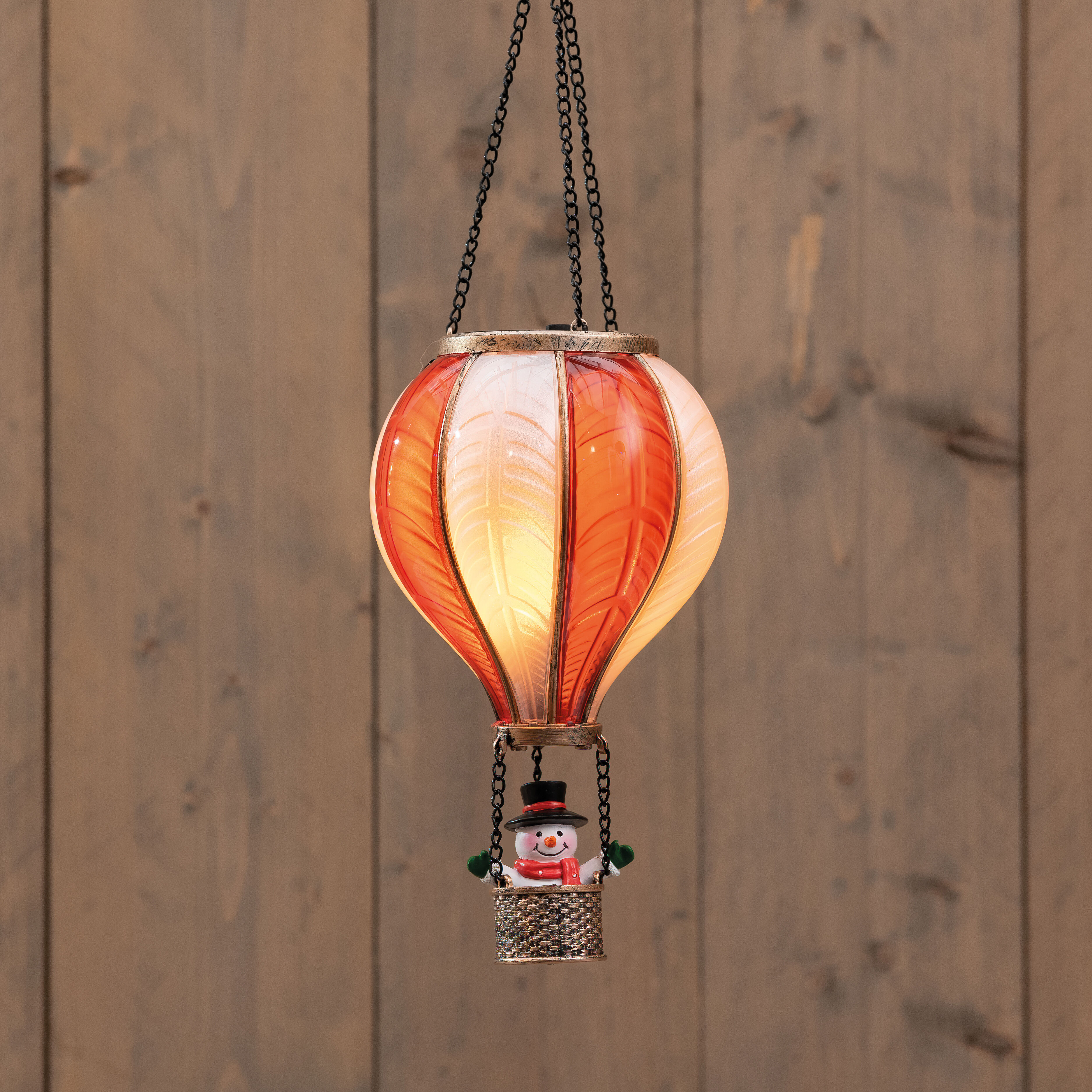 Anna's Collection Luchtballon - Kerstverlichting - 20 - Klassiek warm wit - 25 cm