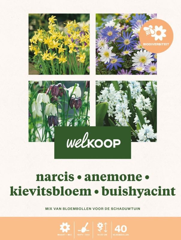 Welkoop Narcis Anemone Kievitsbloem Buishyacint - Biodiversiteit - Bloembollen