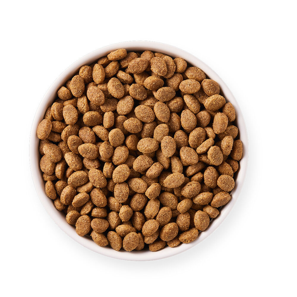 Yarrah Senior Biologisch - Hondenvoer - 10 Kilogram - kip