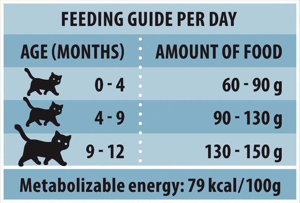 Rokus Kitten - Kattenvoer - 415 Gram - kip