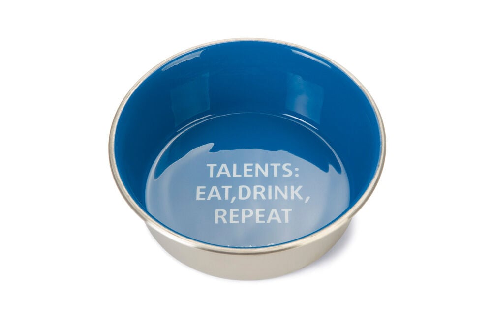 Beeztees Talents Hond RVS - Voer en drinkbak - Blauw - 16 cm Beeztees Talents Hond RVS - Voer en drinkbak - Blauw - 16 cm