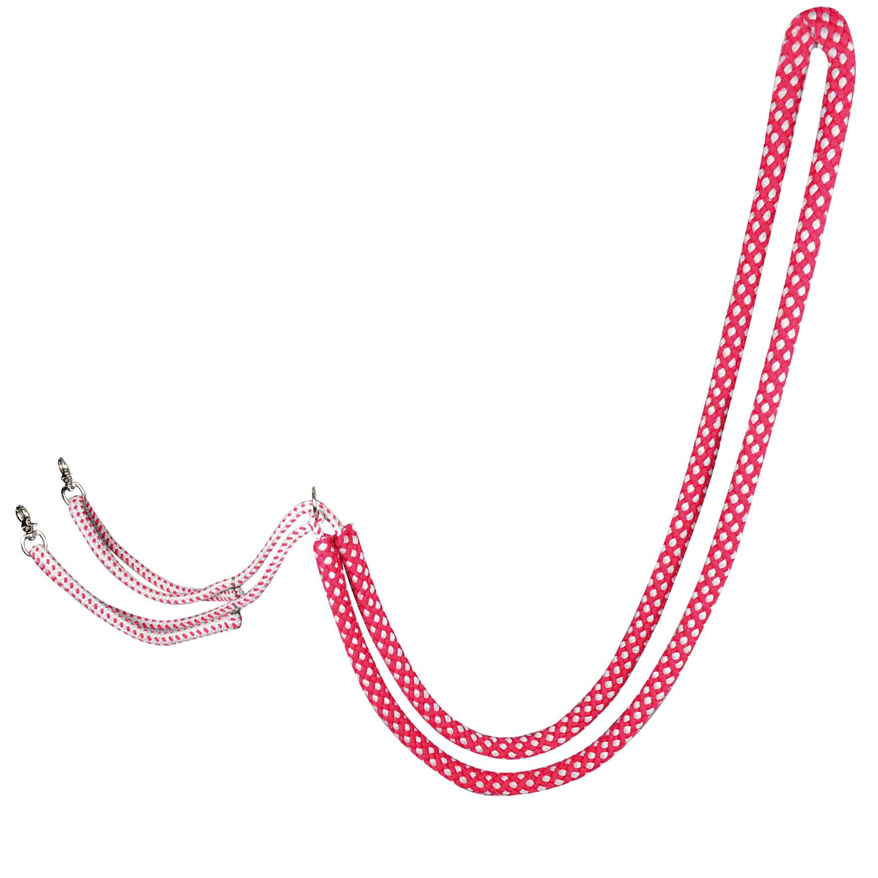 Waldhausen  - Longeerhulp