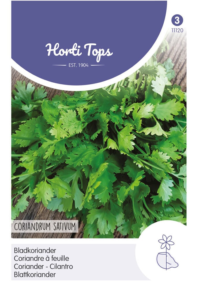 Hortitops Koriander Coriandrum sativum fijnzadig traagschietend - Kruidenzaden