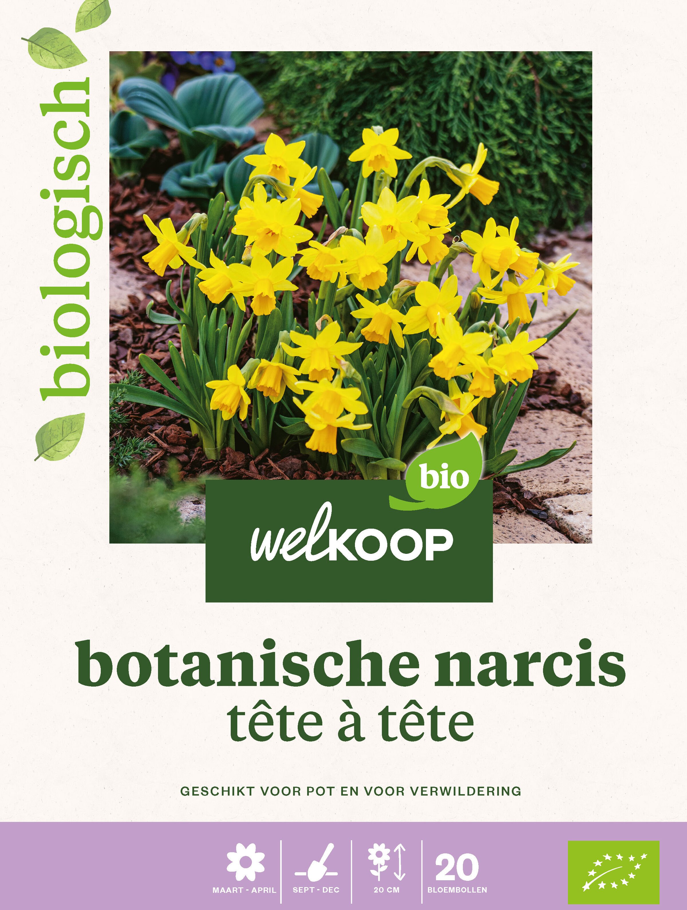 Welkoop Narcis Biologisch Botanische mix - Bloembollen