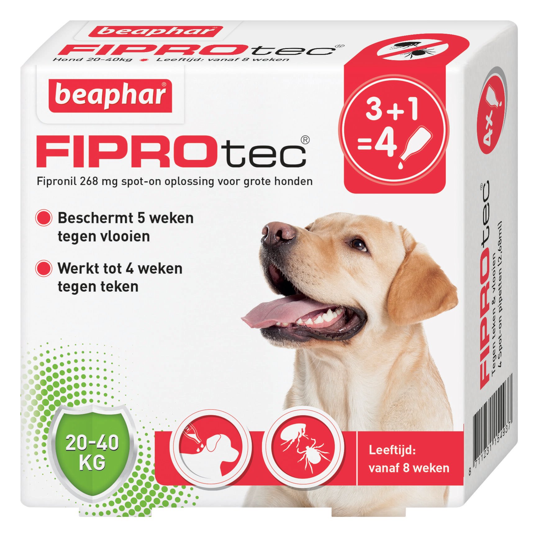 Beaphar Fiprotec Pipet - Anti Vlooien en teken - Hond - 4 Stuks - M Beaphar Fiprotec Pipet - Anti Vlooien en teken - Hond - 4 Stuks - M