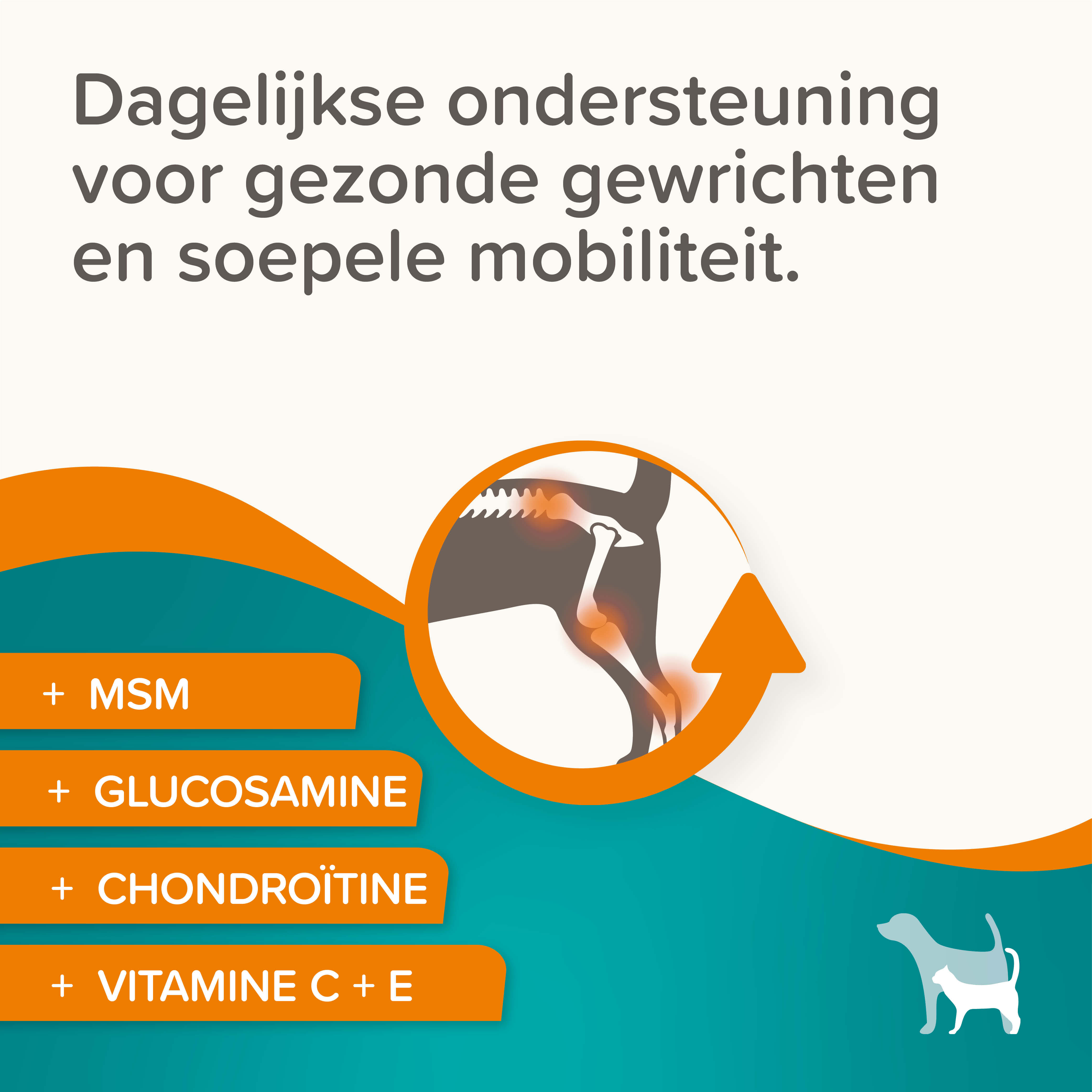 Beaphar Flexifit - Glucosamine tabletten - 120 Stuks