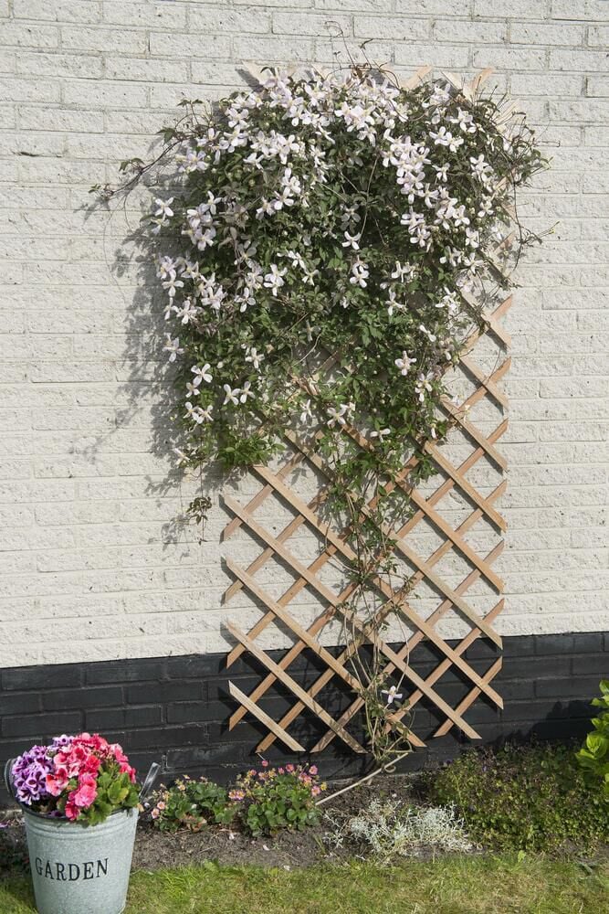 Nature - Klimrek - 150.5x100x1.5 cm