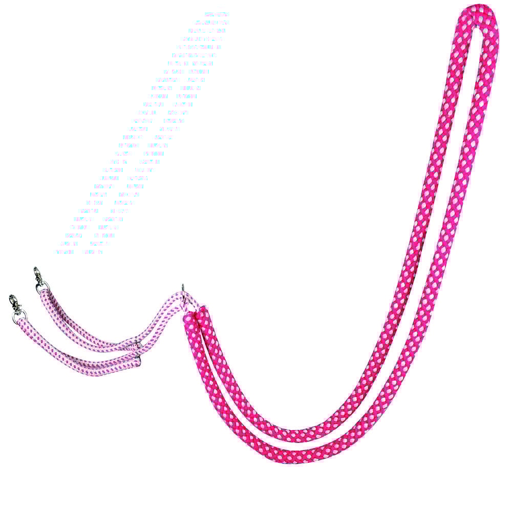 Waldhausen - Longeerhulp