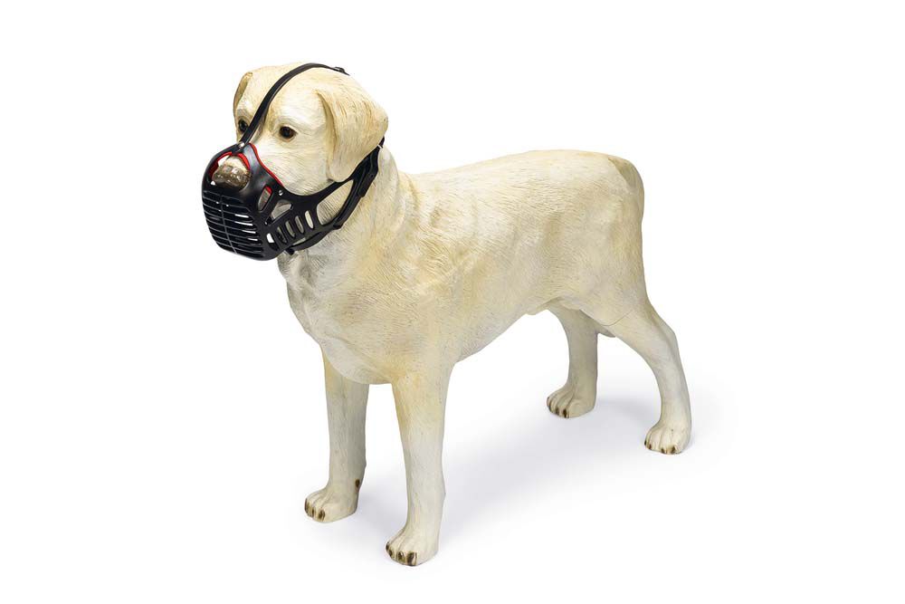 Karlie - Muilkorf - Hond met kort snuit - Zwart - L