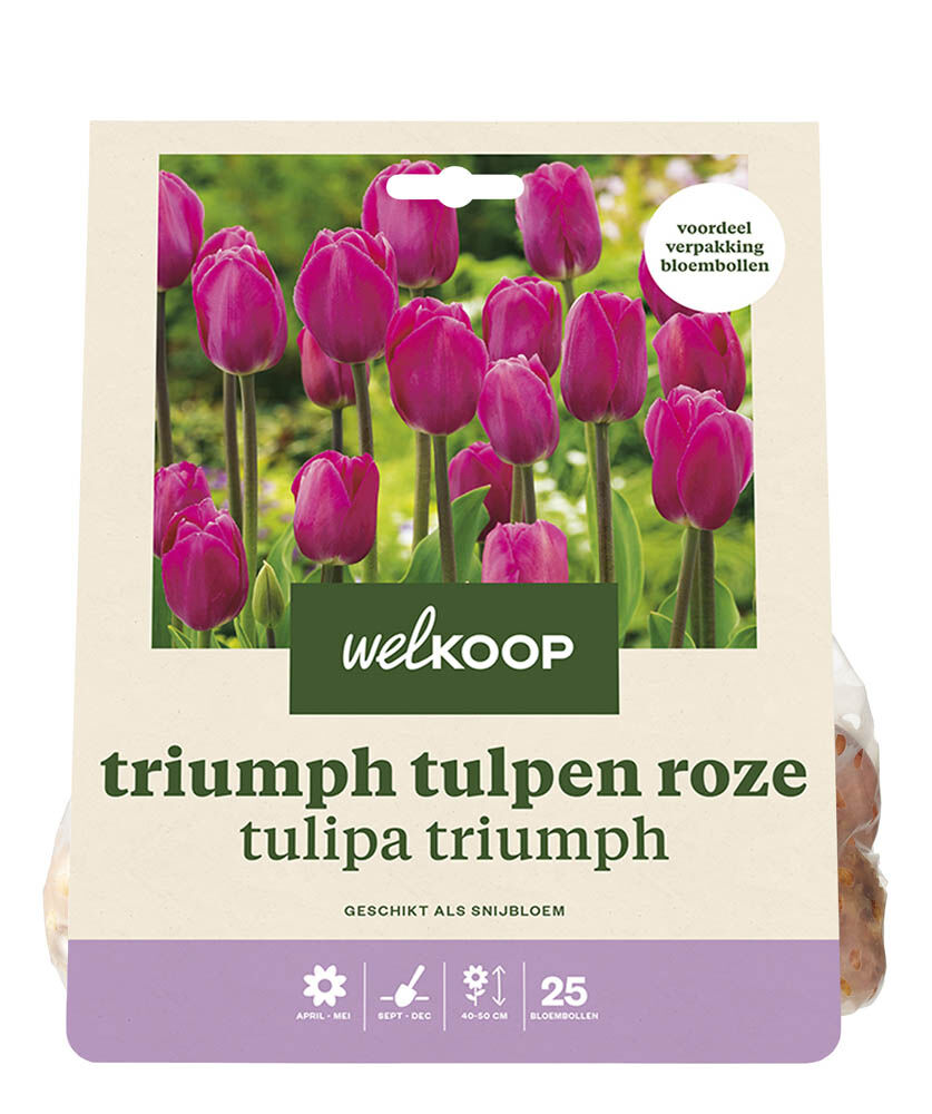 Welkoop Tulp Hedwig  - Bloembollen