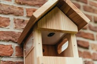 Nestera - Nestkast - met Wifi-Camera - Bruin