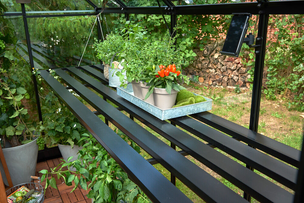 HALLS Qube 812 - Kweektafel