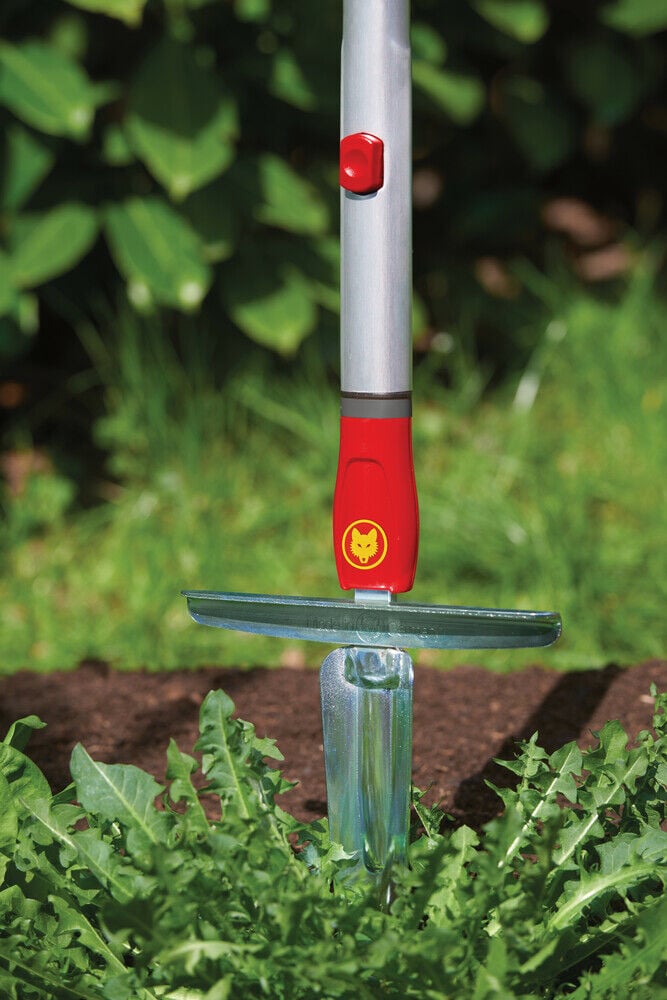WOLF-Garten Multi-star Onkruidsteker KS-M - Systeemgereedschap - Rood
