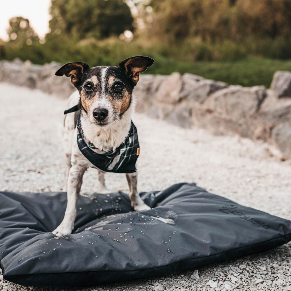District 70 LODGE - Benchmat - lichtgrijs - 122x122 cm - XL