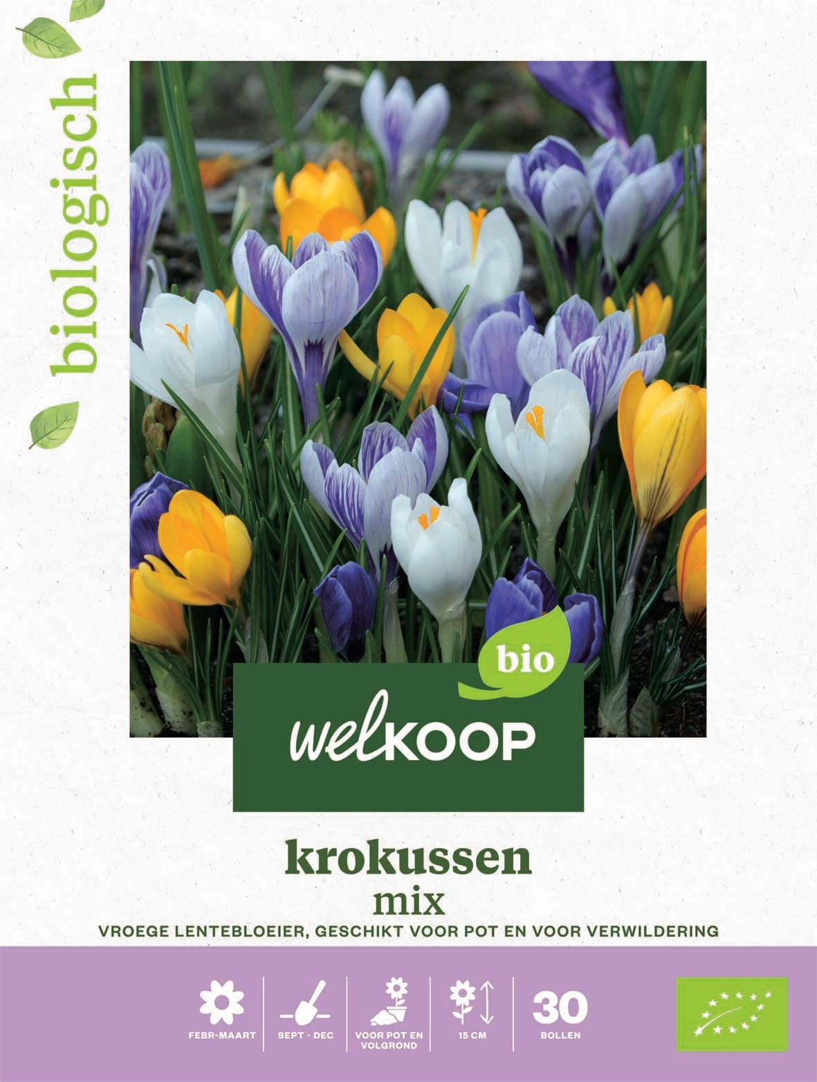 Welkoop Krokussen mix - Biologisch - Bloembollen