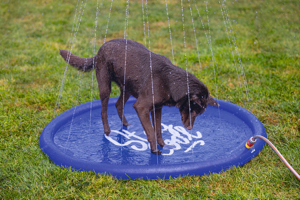 Beeztees Stay cool - Sprinkler mat -Waterspeelgoed hond - blauw - 27.8x100x4.7 cm