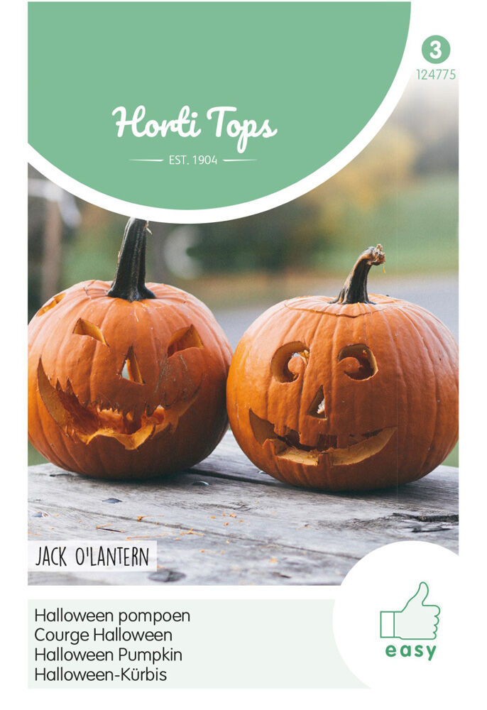 Hortitops Pompoenen Cucurbita pepo Jack O'Lantern (Cucurbita Pepo) - Kalebas/Pompoen