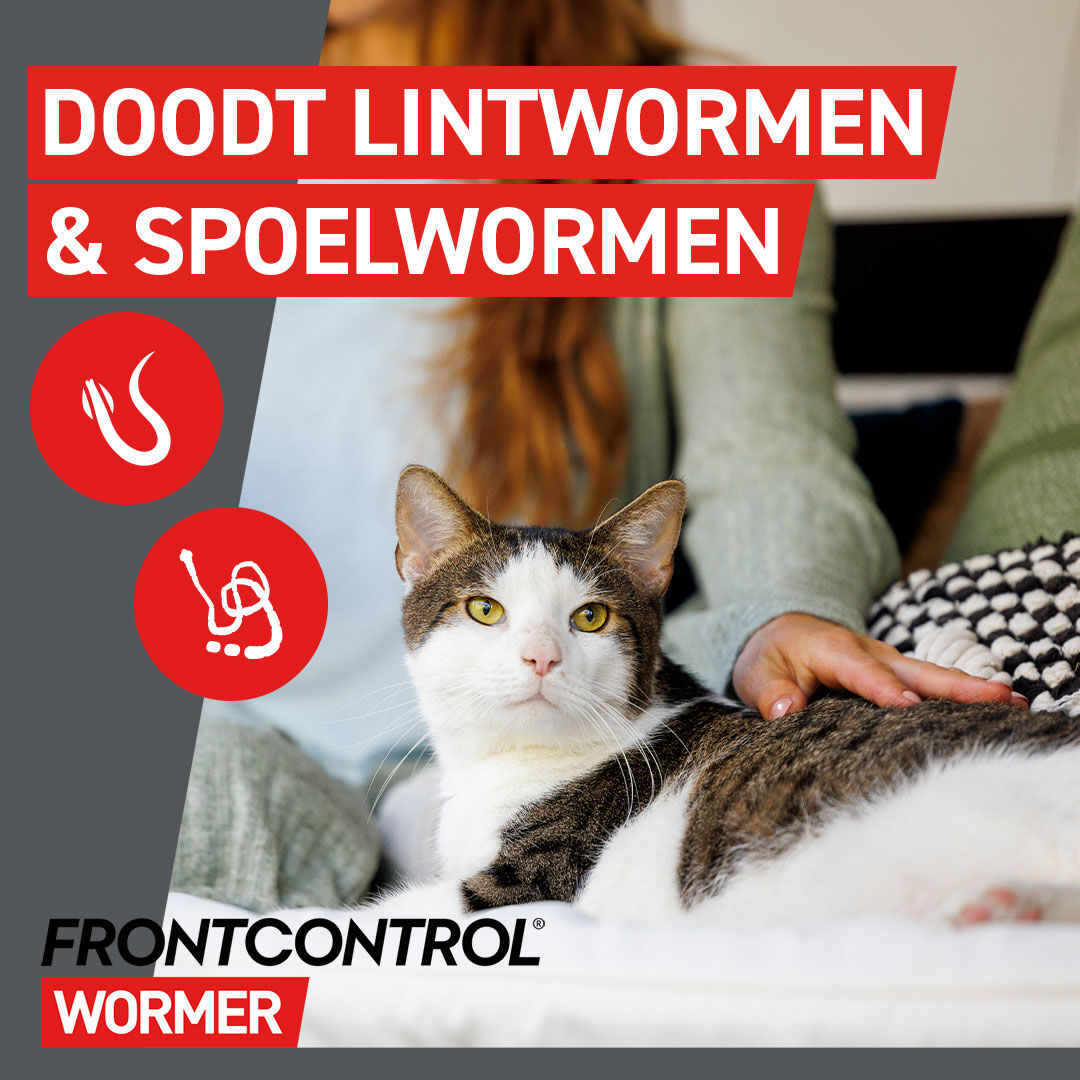Frontcontrol - Ontwormer Kat - 2 tabletten - 2 Stuks