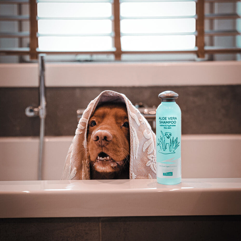 Greenfields Aloe Vera  - Hondenshampoo - 270 Milliliter - Transparant