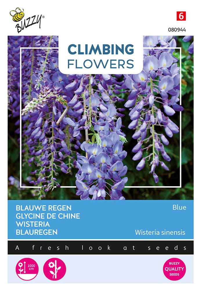 Buzzy Climbers Wisteria Soft Blue - Bloemzaden