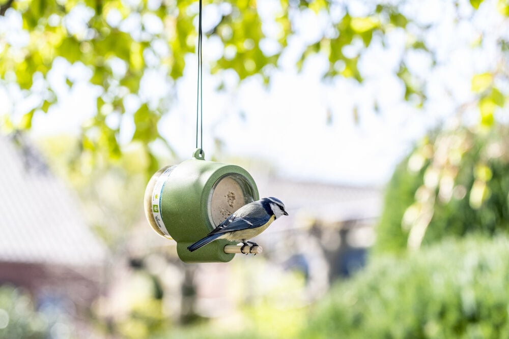 CJ Wildbird Foods Rio - Pindakaaspothouder - 10.5x8x6.1 cm