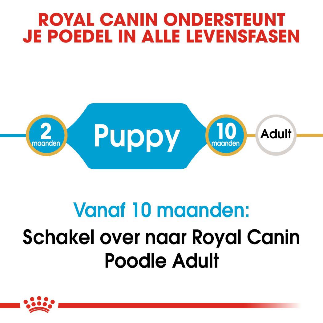 Royal Canin Poedel Junior - Hondenvoer - 3 Kilogram - gevogelte