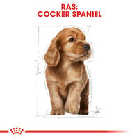 Royal Canin Cocker Puppy - Hondenvoer - 3 Kilogram - gevogelte