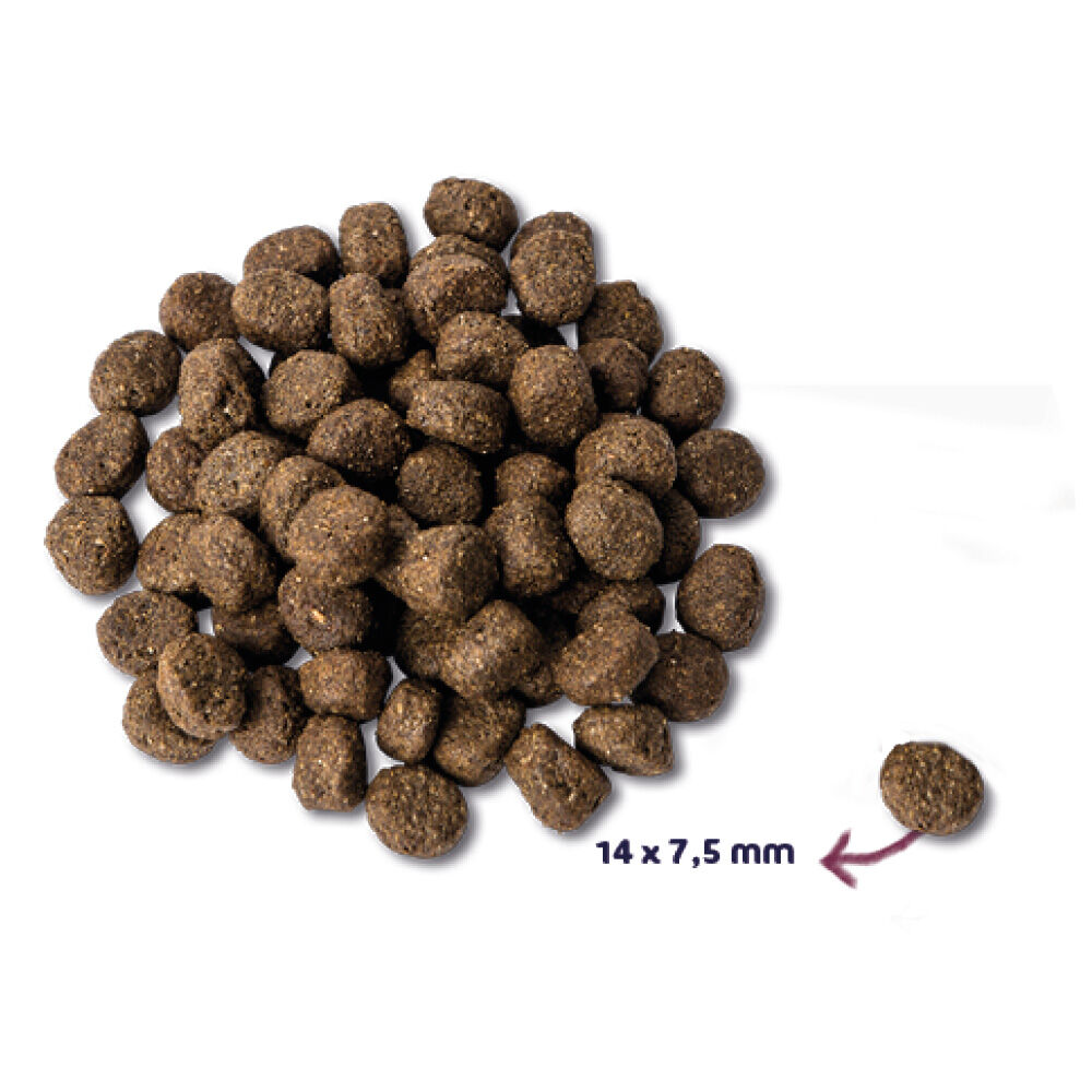 Renske Senior - Hondenvoer - 12 Kilogram - kalkoen