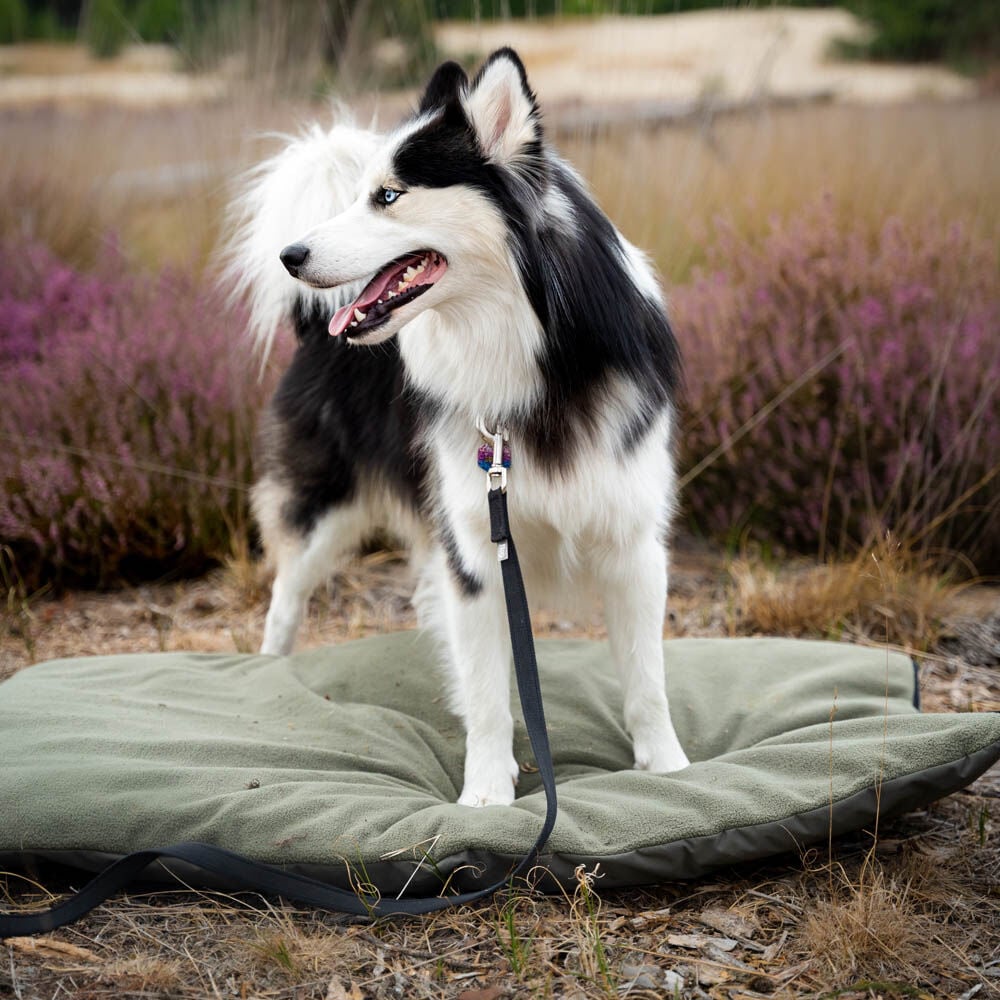 District 70 LODGE - Benchmat - groen - 122x76 cm - XL