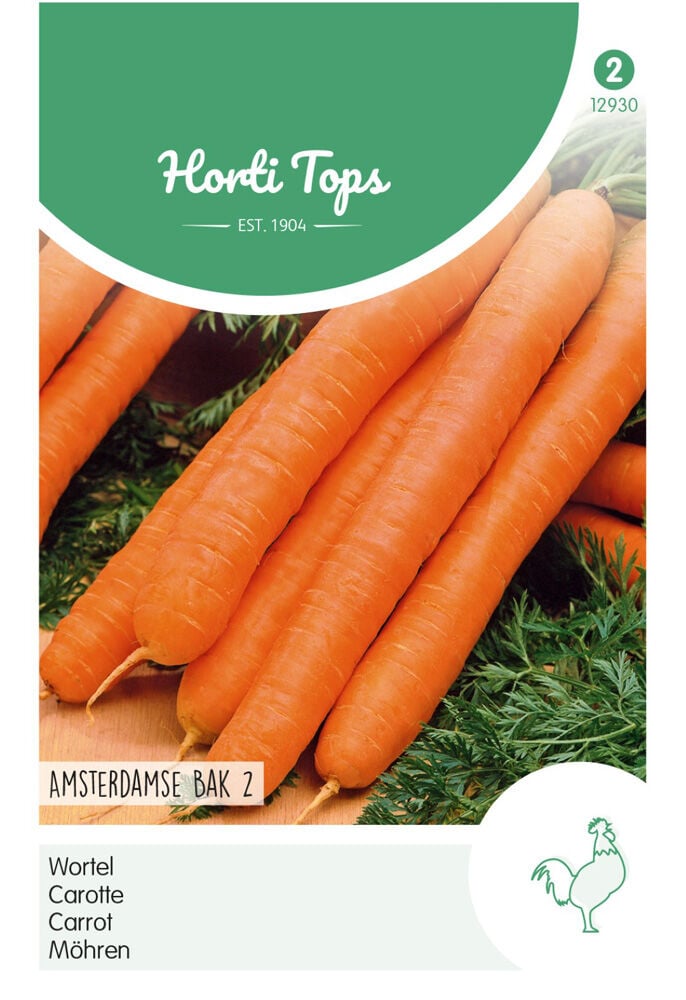 Hortitops Wortelen Daucus carota Amsterdamse Bak 2 - Wortelen - 5 Gram
