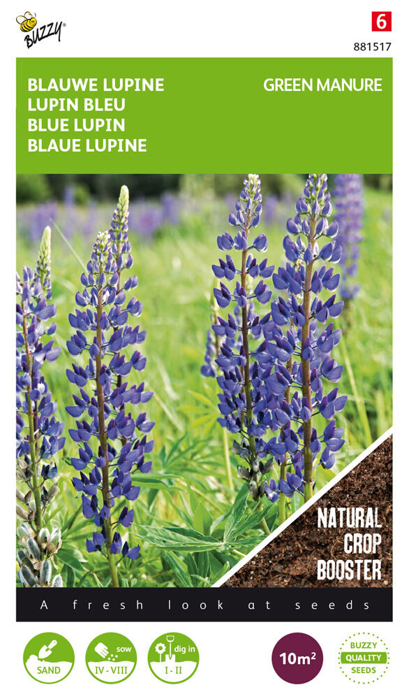 Buzzy Lupine Lupine - Groenbemester