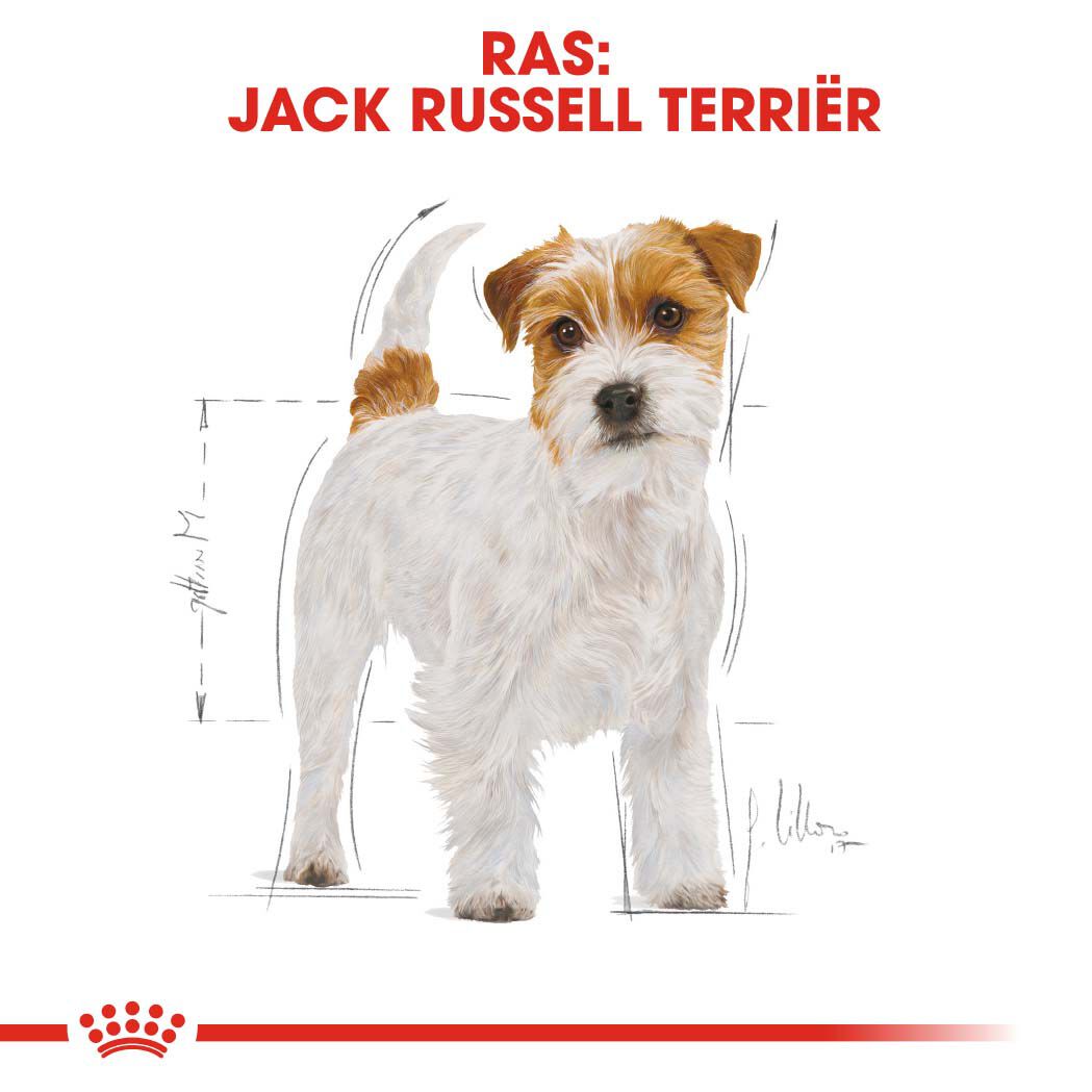 Royal Canin Jack Russell Terrier Adult - Hondenvoer - 3 Kilogram - gevogelte