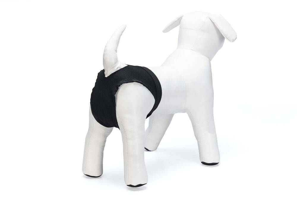 Beeztees - Loopsheidbroekje - Hond - Zwart - XS