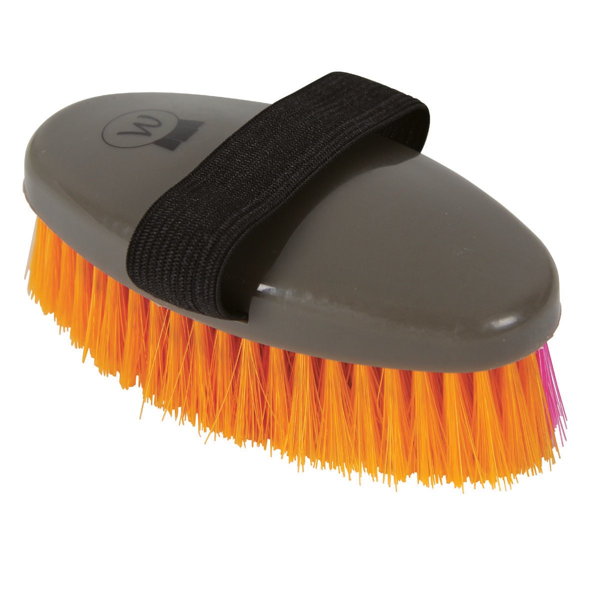 Waldhausen Borstel - Paard