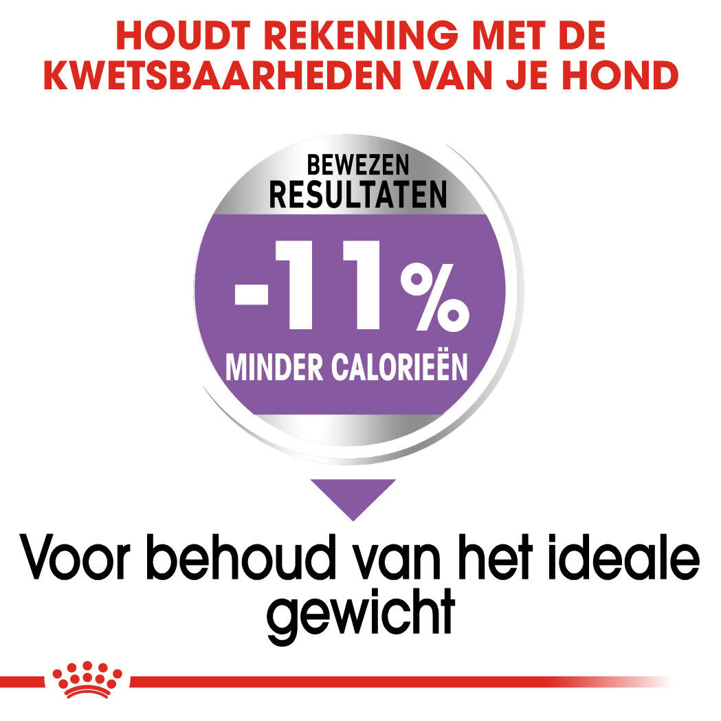 Royal Canin X-Small Sterilised - Hondenvoer - 1.5 Kilogram - gevogelte