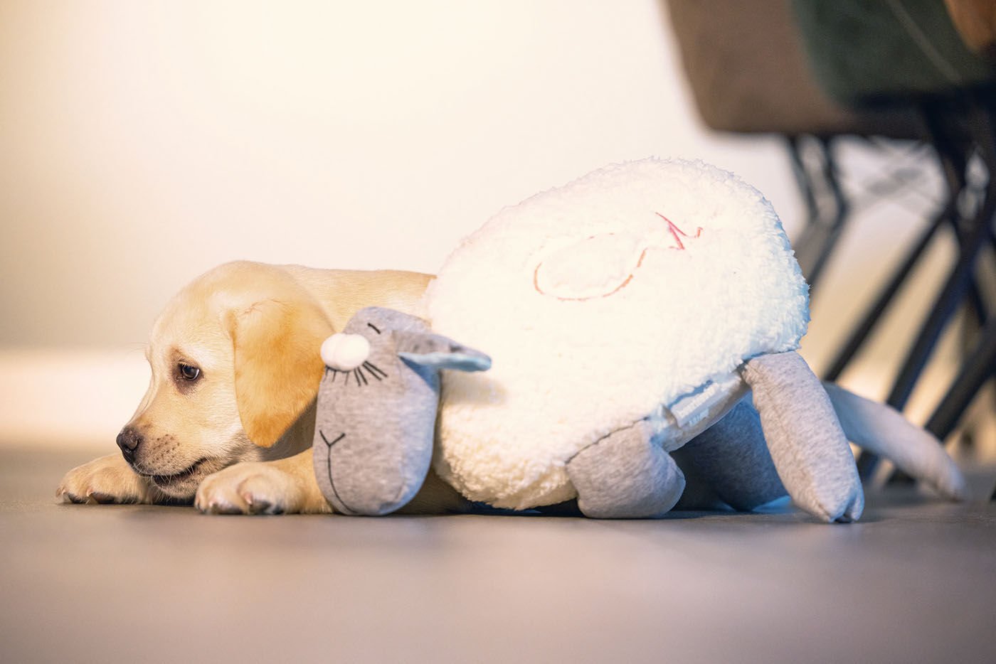 Beeztees Schaap - Knuffel met hartslag - Puppyspeelgoed - Grijs Wit - 14x36x25 cm