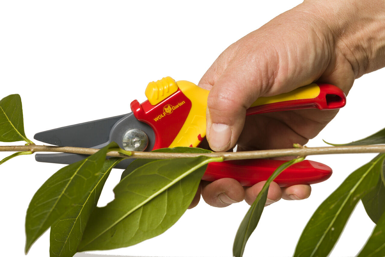 WOLF-Garten RR 1500 Basic Plus - Snoeischaar