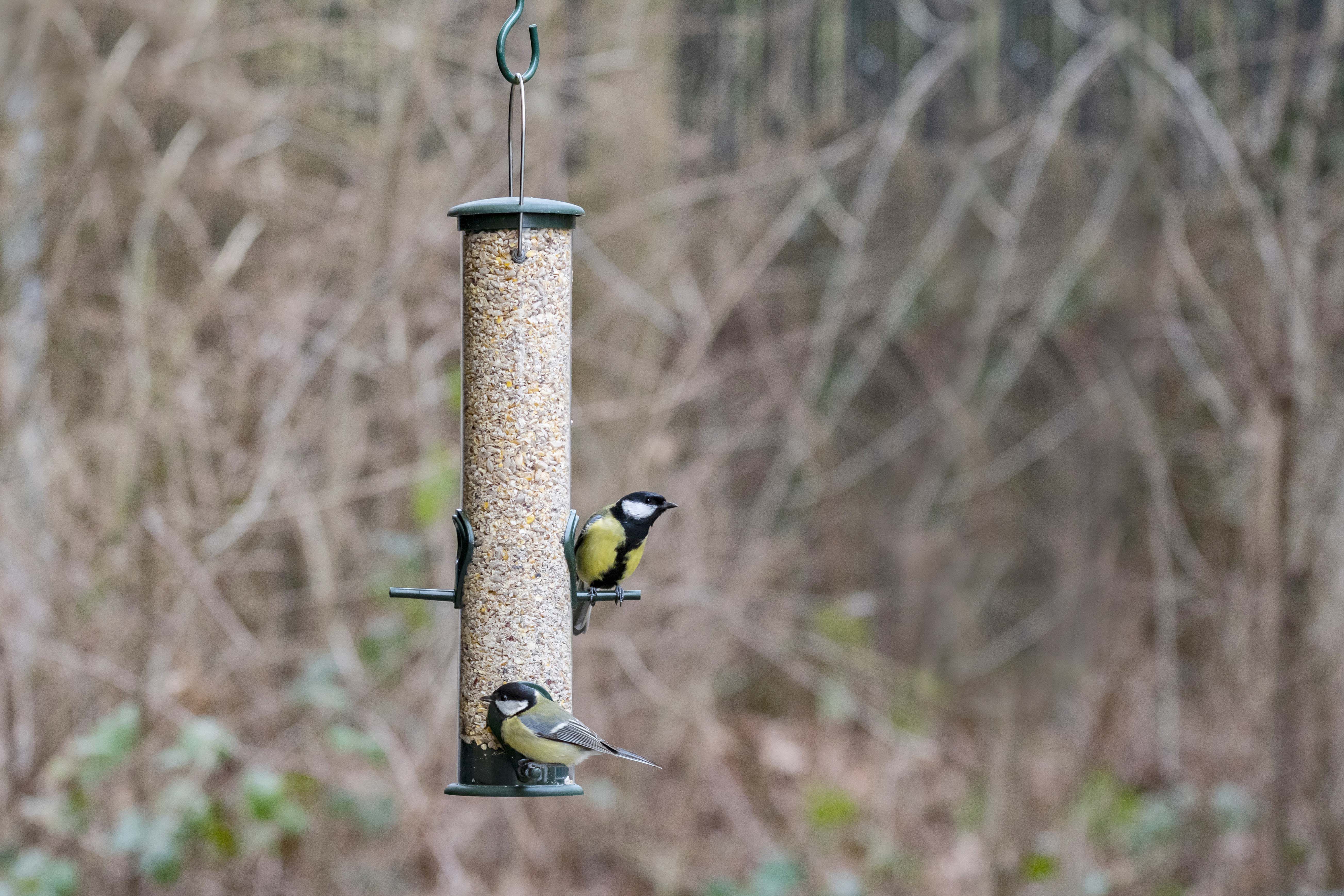 VBN Premium - No Mess - Onkruidvrij Tuinvogelvoer - 4 Liter